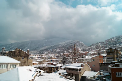 Bursa
