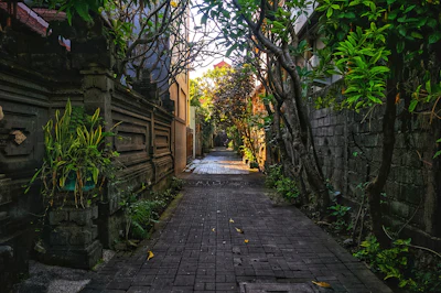 Kuta