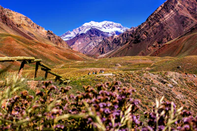 Salta